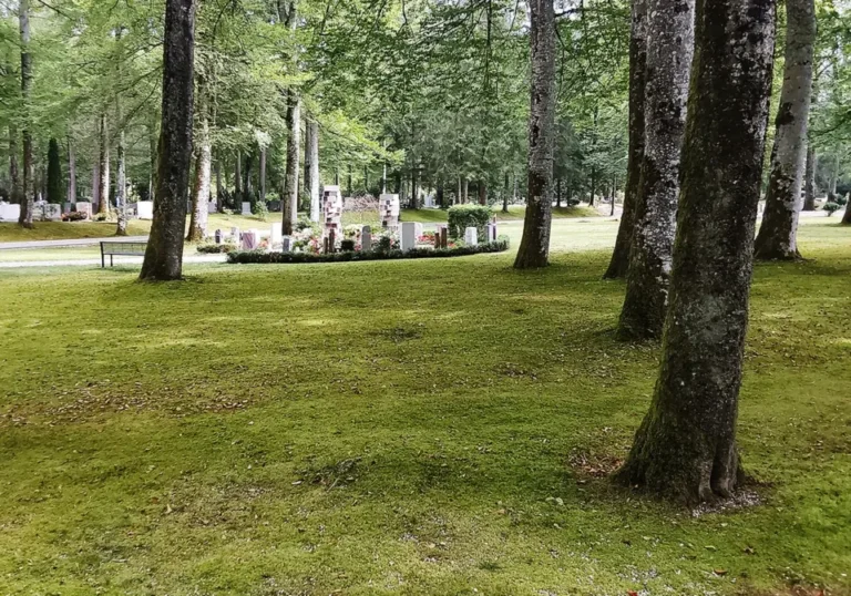 Grabfeld zwischen alten Buchen auf dem Waldfriedhof Geretsried