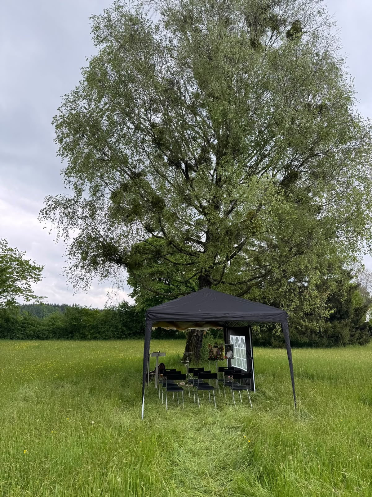 Naturnahe Bestattung